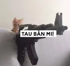 meme cầm súng 24
