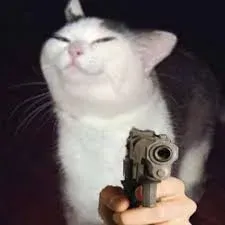 meme cầm súng 25