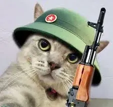 meme cầm súng 28