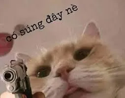 meme cầm súng 35