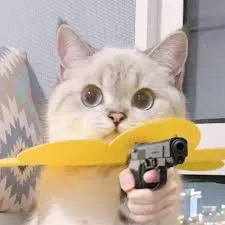 meme cầm súng 37