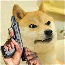 meme cầm súng 38