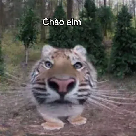 meme chào 4