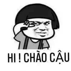 meme chào 13