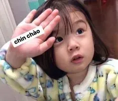 meme chào 14
