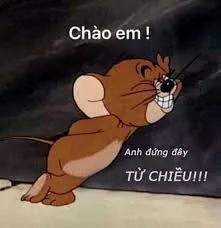 meme chào 20