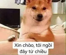 meme chào 24