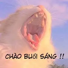 meme chào 33
