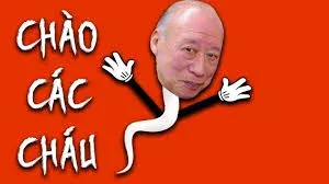meme chào 27