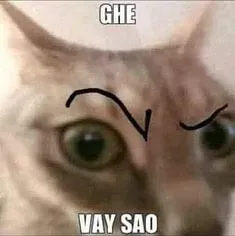 meme chê 23