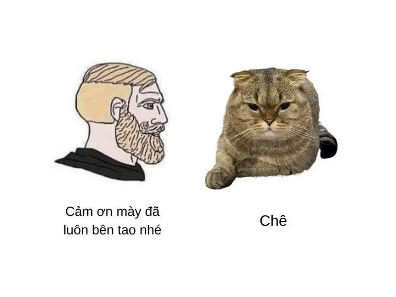 meme chê 32