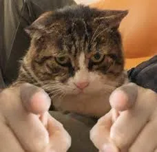 meme chỉ tay 17