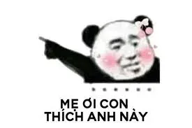 meme chỉ tay 30