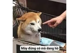 meme chỉ tay 37