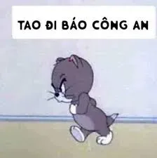 meme công an 1