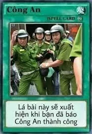 meme công an 29