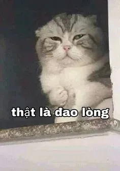 meme dỗi 2