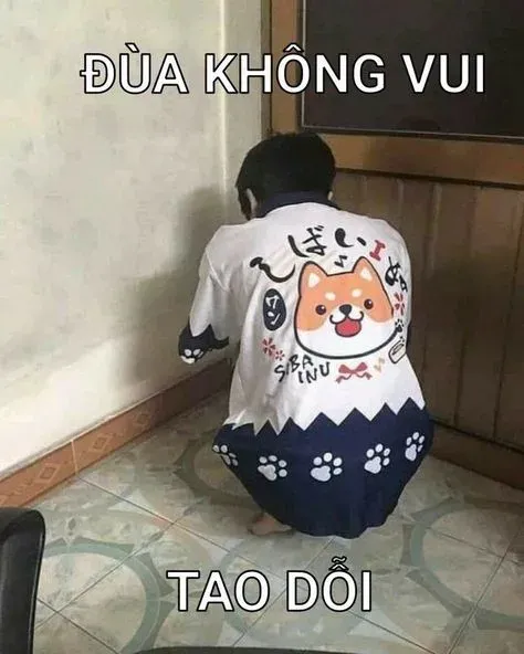 meme dỗi 8