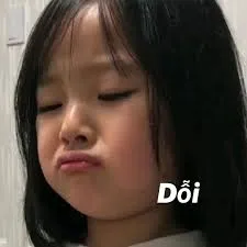 meme dỗi 20
