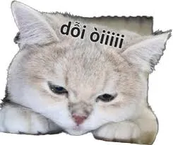 meme dỗi 31