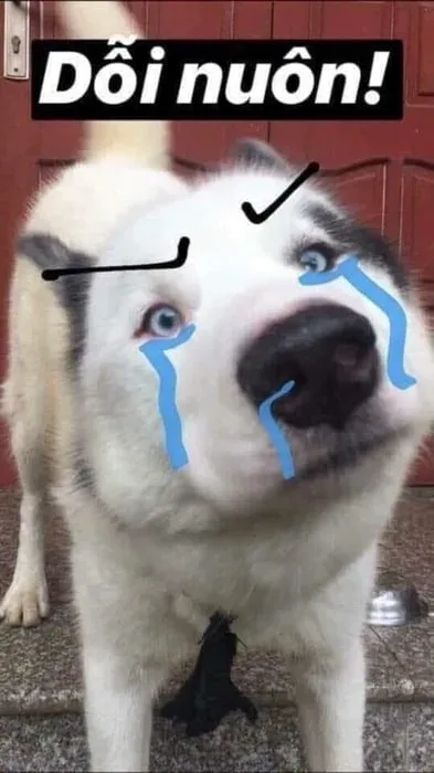 meme dỗi 23