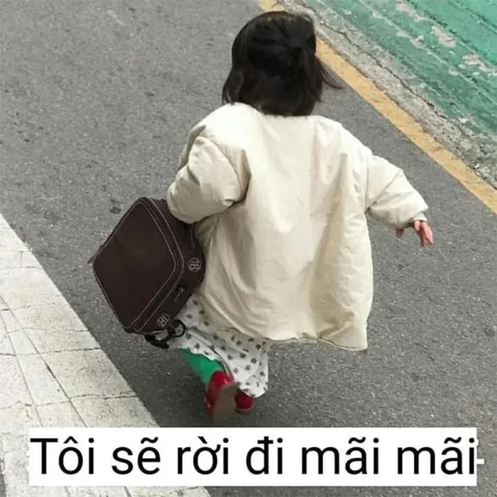 meme dỗi 24