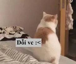 meme dỗi 33
