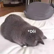 meme dỗi 34