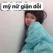 meme dỗi 27