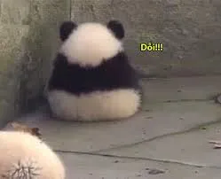 meme dỗi 36