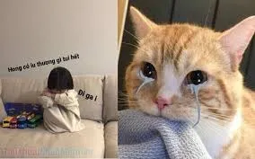 meme dỗi 38
