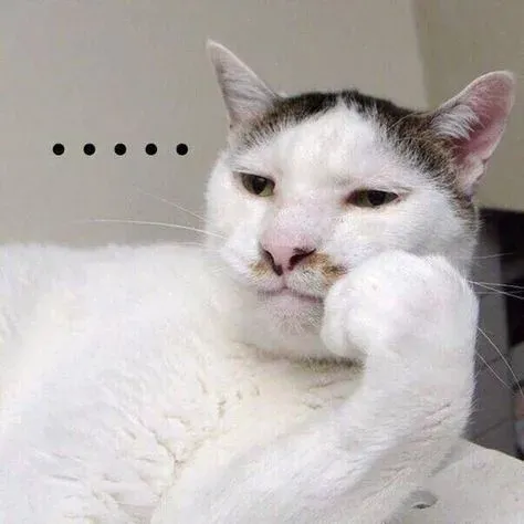 meme động vật 3