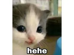 meme động vật 37