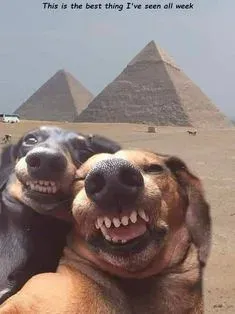 meme face 6