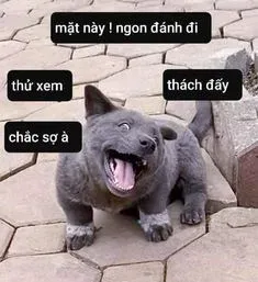meme face 27