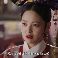 meme hậu cung 6