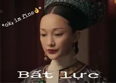 meme hậu cung 11