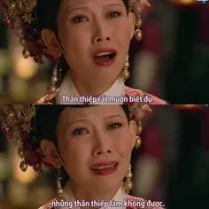 meme hậu cung 13