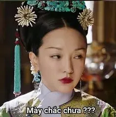meme hậu cung 17