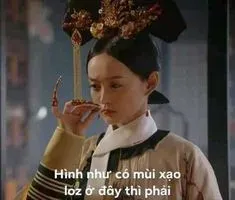 meme hậu cung 24