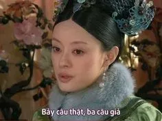 meme hậu cung 25