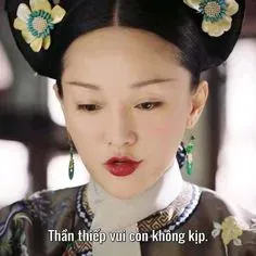meme hậu cung 30
