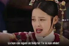 meme hậu cung 31