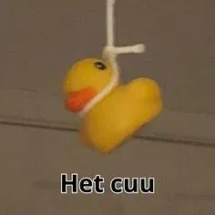 meme hết cứu 13