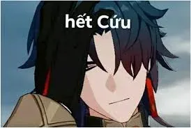 meme hết cứu 20