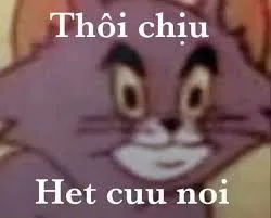 meme hết cứu 22