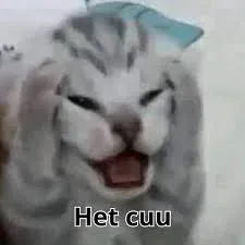 meme hết cứu 24