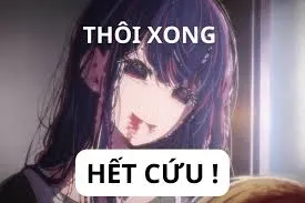 meme hết cứu 25