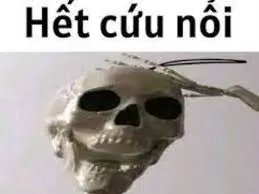 meme hết cứu 27