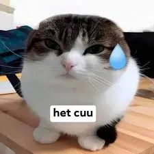 meme hết cứu 28